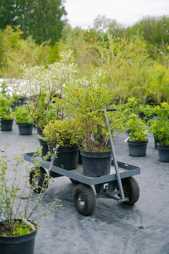 chariot de plantes en pot