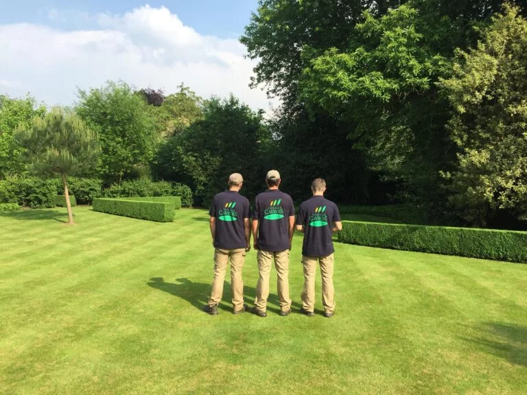 Equipe Thomas Cavrois dans jardin avec tonte anglaise