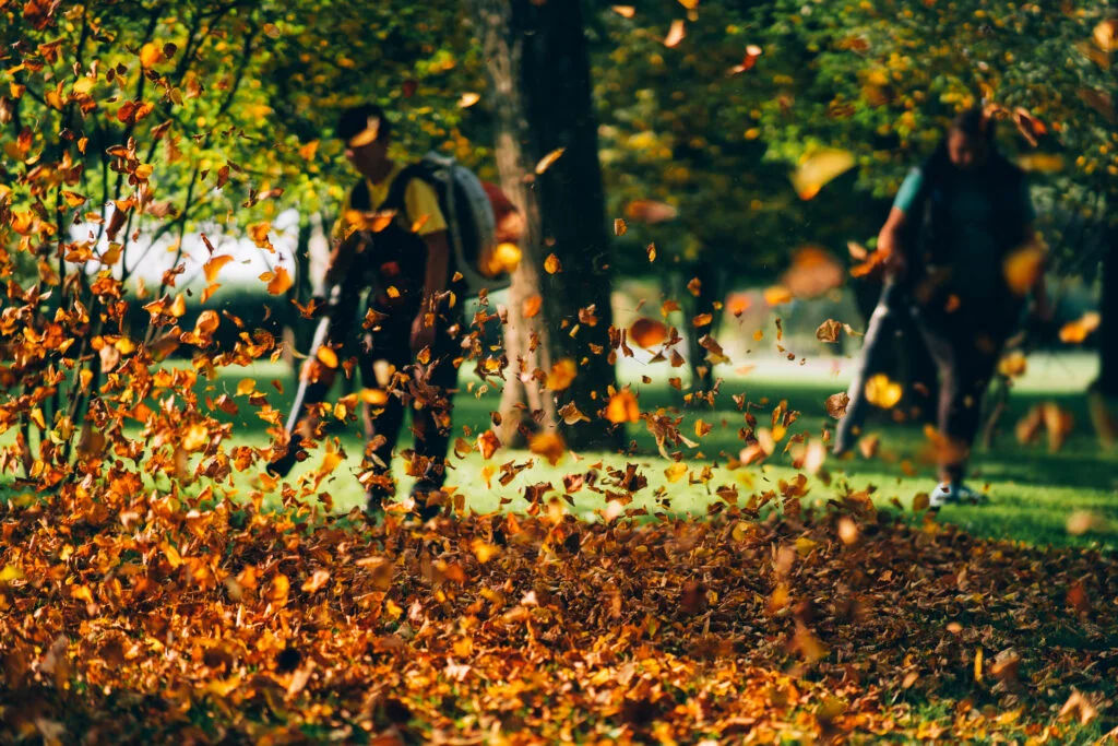 Ramassage de feuilles avec un souffleur de feuilles