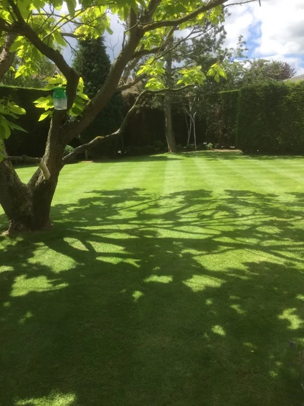 photo jardin particulier